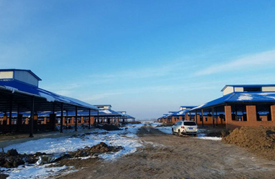 ԣ��ţ��4.3��ƽ