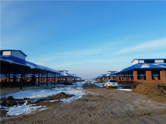 �������š�yl8cc(�й���)�ٷ���վ