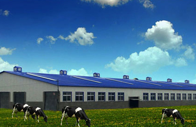 ����������ţ��