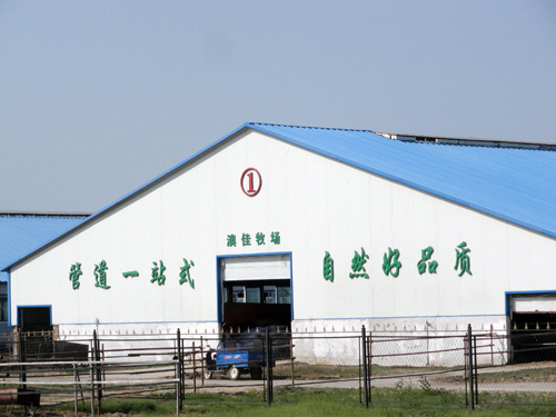 �������š�yl8cc(�й���)�ٷ���վ