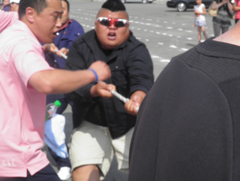 �������š�yl8cc(�й���)�ٷ���վ