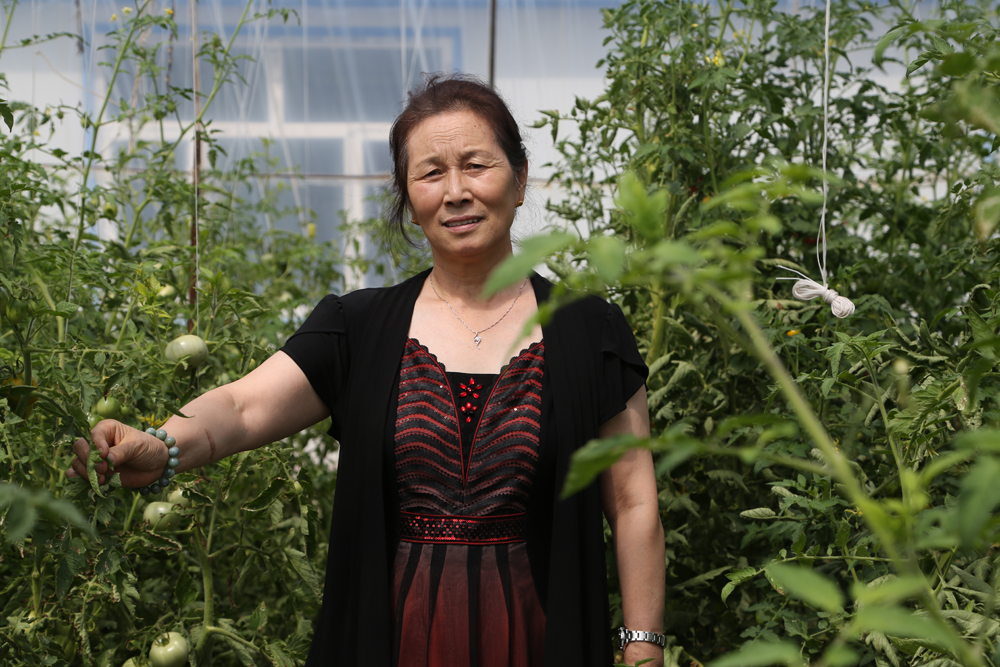 �������š�yl8cc(�й���)�ٷ���վ