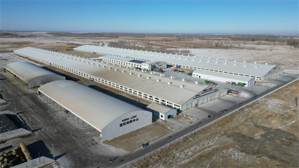 �������š�yl8cc(�й���)�ٷ���վ