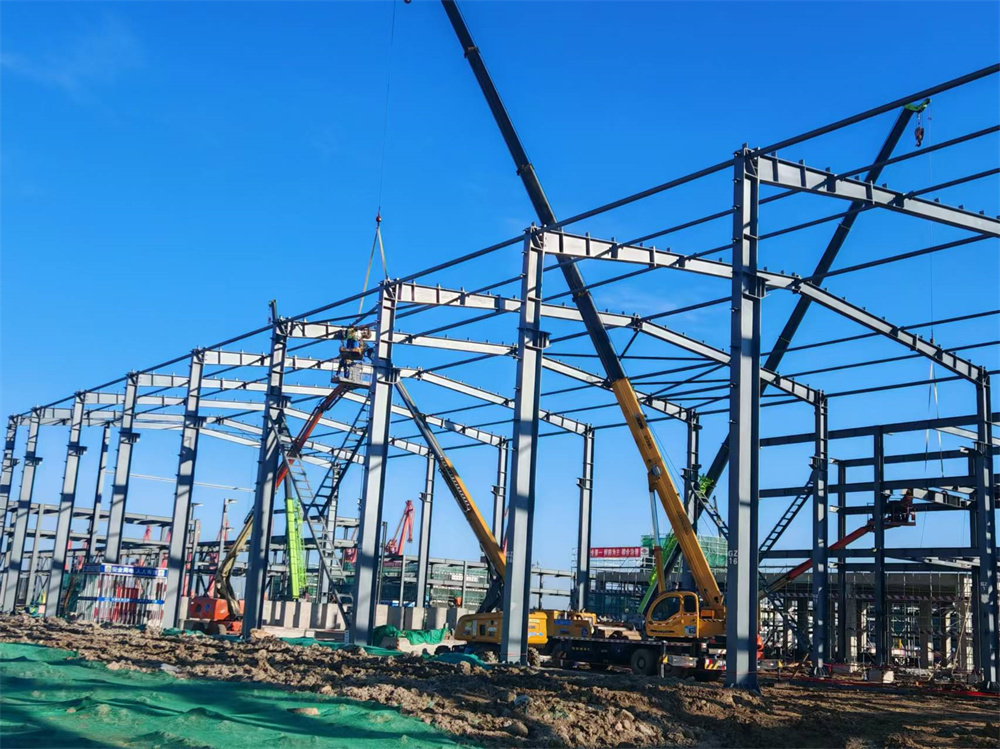 �������š�yl8cc(�й���)�ٷ���վ