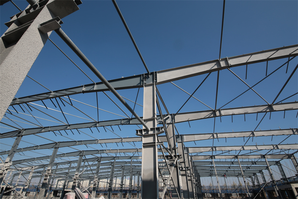 �������š�yl8cc(�й���)�ٷ���վ