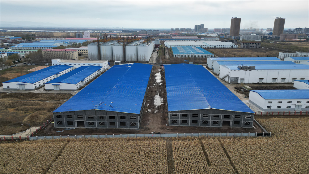 �������š�yl8cc(�й���)�ٷ���վ