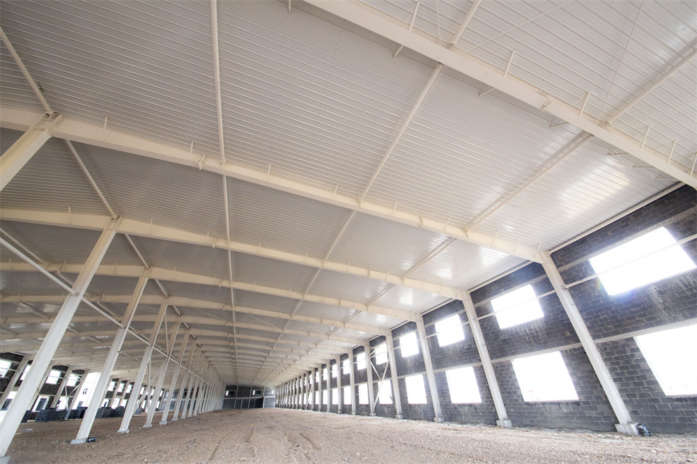 �������š�yl8cc(�й���)�ٷ���վ