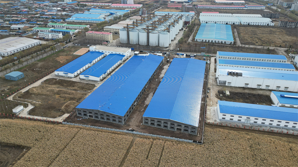 ������ͨ�Ӿ��ÿ�������׼��������Ŀ